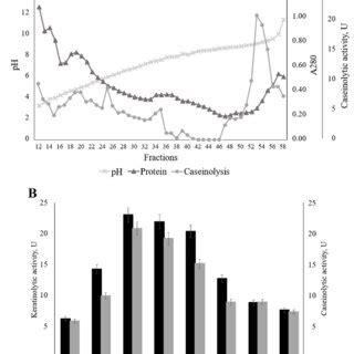 Isoelectric Focusing Of The Extracellular Proteins Synthesized By