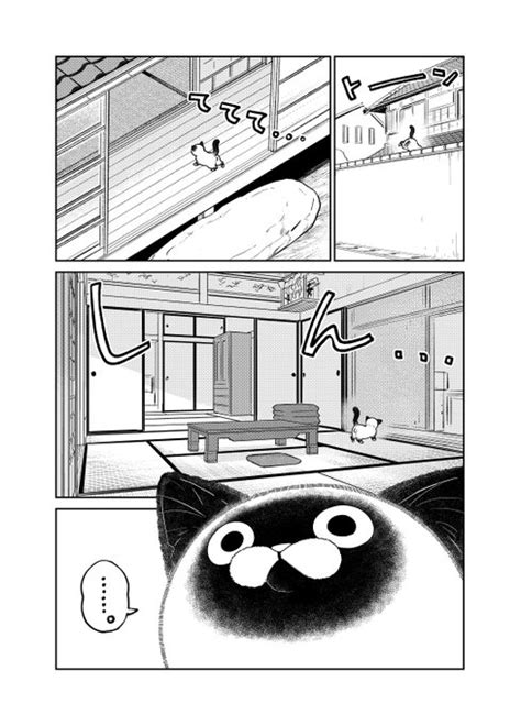 丸顔の野良猫に振り回される元極道の話🐾 （1／3） 片倉 頼📦オヤジとにゃん吉👨‍🦳🐾🐱7 113⃣巻発売🐾 さんのマンガ