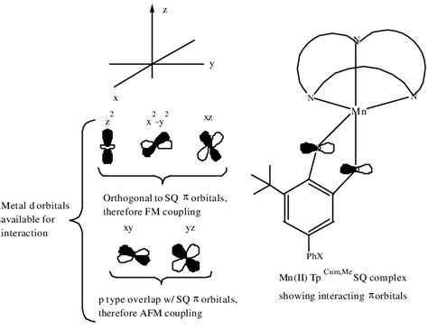 11. Antiferromagnetic Coupling of a metal and delocalized ligand π ...