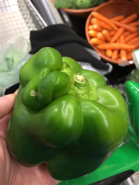 Capsicum growing on another capsicum : r/mildlyinteresting