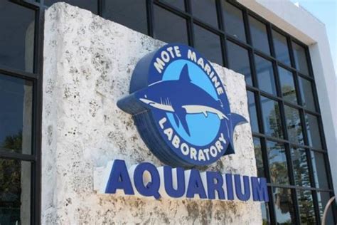 Mote Marine Laboratory & Aquarium - Travel & Recreation - Lido Key ...