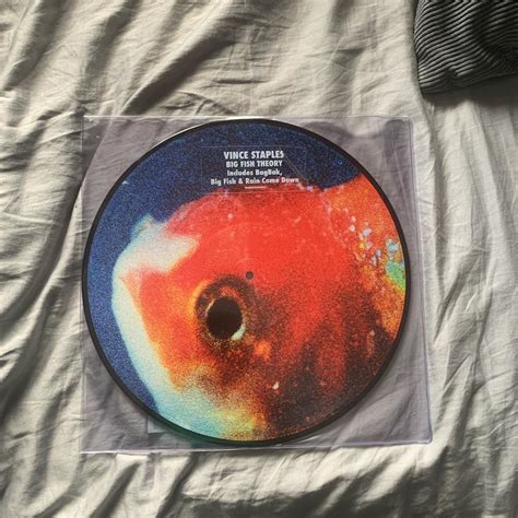 Vince Staples Big Fish theory vinyl. Extremely rare... - Depop