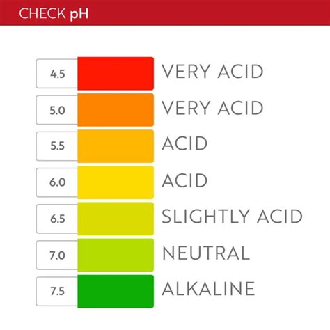 Ph Value Scale Chart Stock Vector Image By Kandella