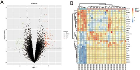 Sex Related Differentially Expressed Genes Degs In Atherosclerosis