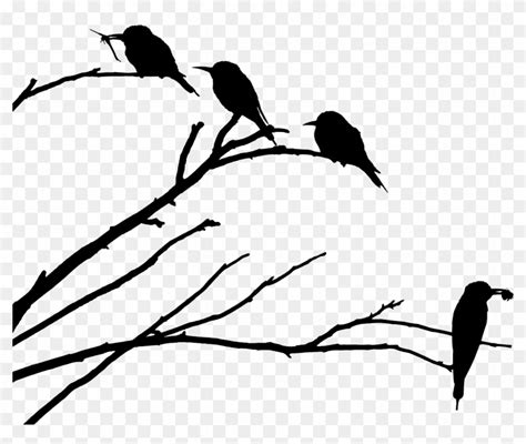 Bird Silhouette On Branch