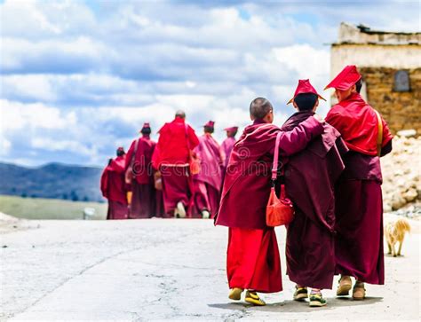 Los Monjes Tibetanos Del Grupo En Trajes Rojos Van Por El Lanscape