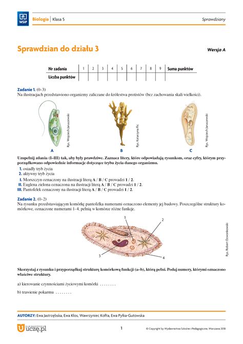 Karta Pracy Z Biologii Klasa Bakterie Grzyby I Protisty Karty W