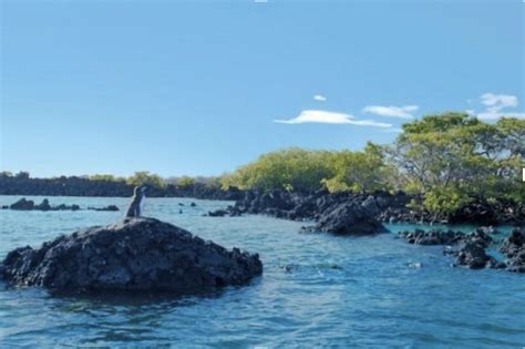 Escapade Aux Les Galapagos Voyages Munditour