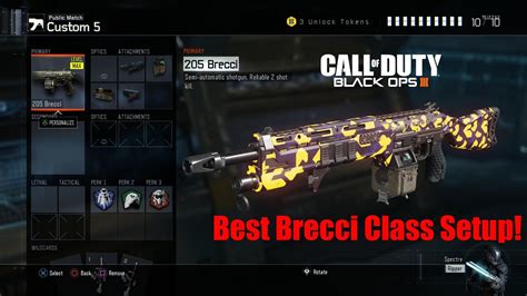 THIS GUN IS A GOD Best 205 Brecci Class Setup 1 YouTube