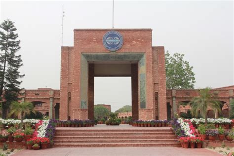 Career | COMSATS University Islamabad, Lahore Campus