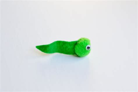 Frog Life Cycle Pom Pom Craft for Nature Studies