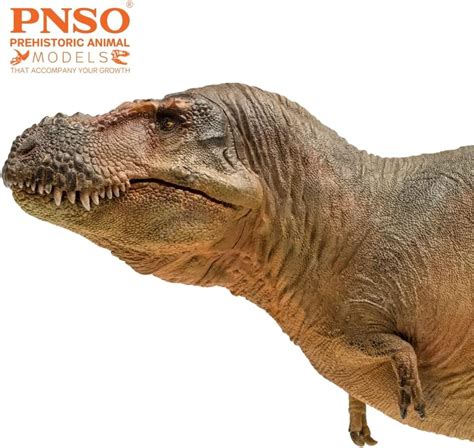 PNSO Modelos de dinosaurios prehistóricos 58 Luxiong The