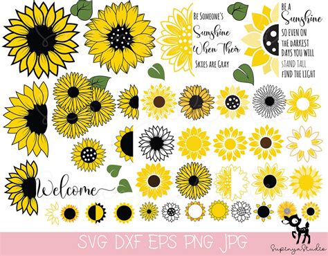 Sunflower Svg Cricut Sunflowersunflower Clipartsunflower Etsy