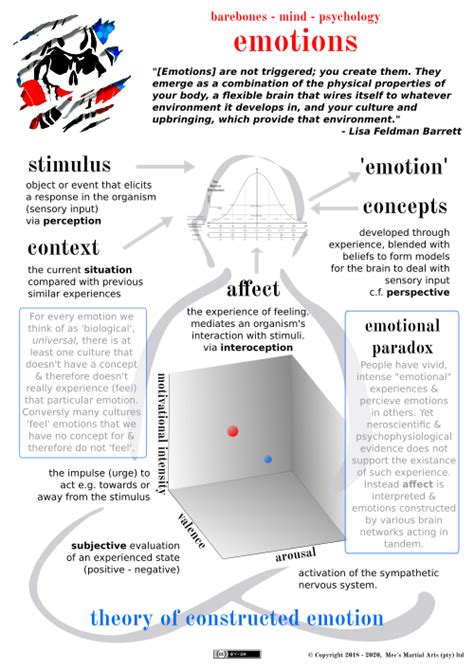 Infographic: Theory of Constructed Emotions - Mec's Martial Blog