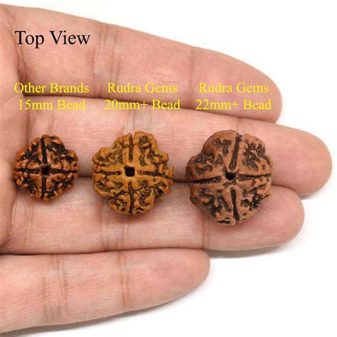 4 Mukhi Rudraksha Benefits Mantra Authenticity And How To Wear It