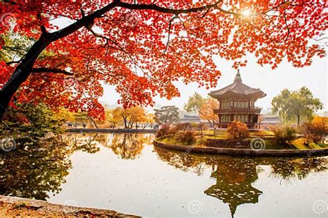 Autumn in Gyeongbokgung Palace, Seoul in South Korea Stock Image - Image of maple, gyeongbukgung ...