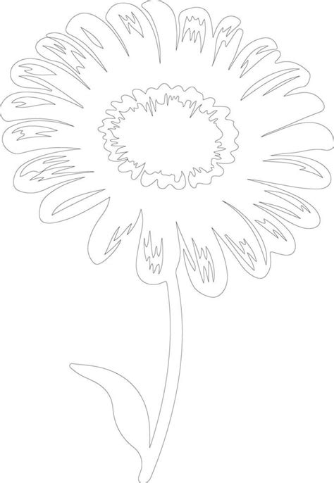 Ai Generated Gerbera Daisy Outline Silhouette 40542144 Vector Art At