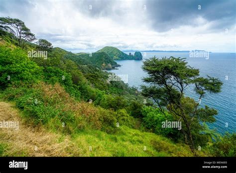 Hiking The Coromandel Coastal Walkway Rainforest And A Steep Coast