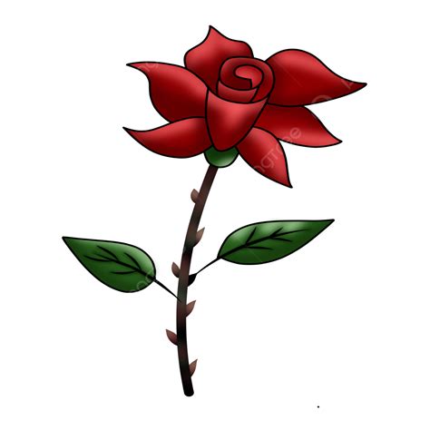 Ilustraci N De Una Flor Rosa Roja Png Flor Rosa Rojo Png Y Psd Para