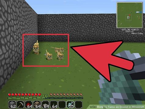 How To Tame An Ocelot In Minecraft 10 Steps With Pictures