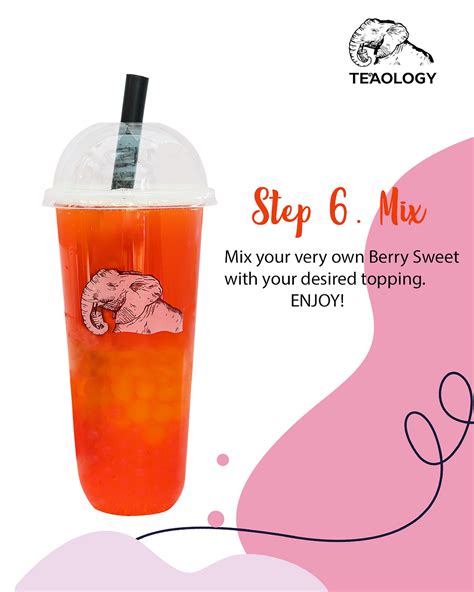 TeaOlogy DIY Berry Sweet Boba Kit At Home