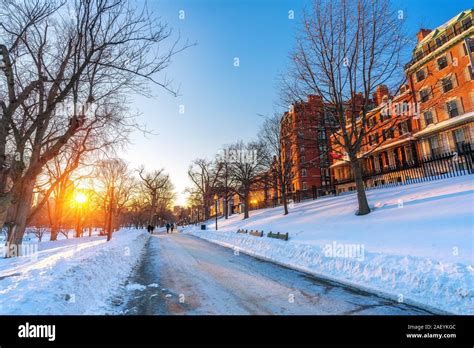 Boston common at winter Stock Photo - Alamy