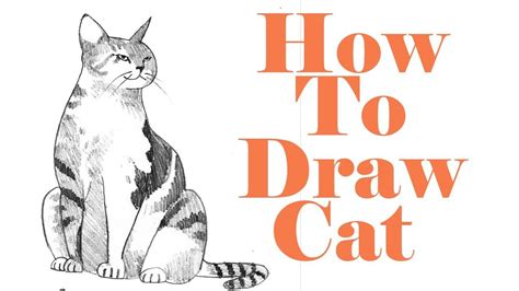 Learn How To Draw A Cat