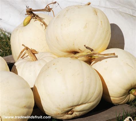 Kakai Hulless Pumpkin Seeds