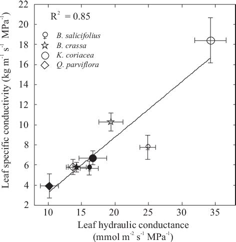 Relationship Between Leaf Specific Hydraulic Conductivity K L