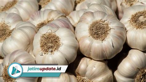 Kompak Dengan 5 Daerah Di Jawa Timur Intip Yuk Harga Bawang Putih Di