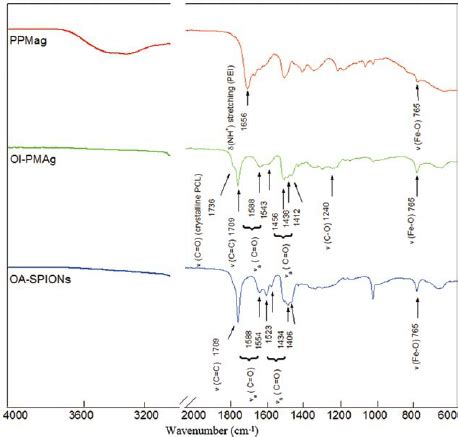 Ftir Spectra Of Ppmag Ol Pmag And Oa Spions In The Wavenumber Range