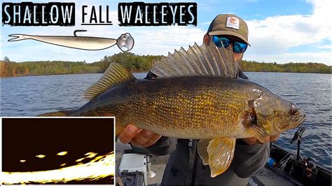 Favorite Method To Catch A Ton Of Fall Walleyes Youtube