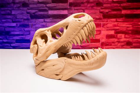 3d Print T Rex Skull Dinosaur Skeleton