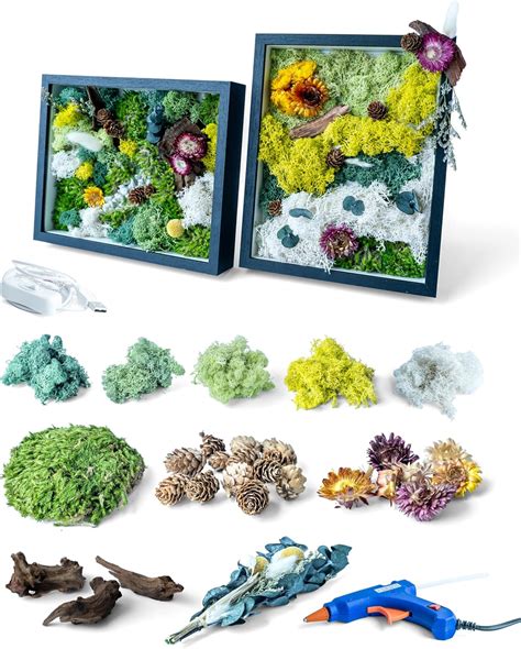 Amazon.com: KRAFTSTORIES DIY Moss Wall Art Kit with 2 Black Frames