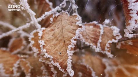 Meteo Cer Variabil I Temperaturi De P N La C Youtube