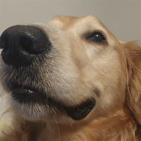 Discussion One By Metallica By I Hate Sex By Older Friends By I Practice Saying Sorry To You