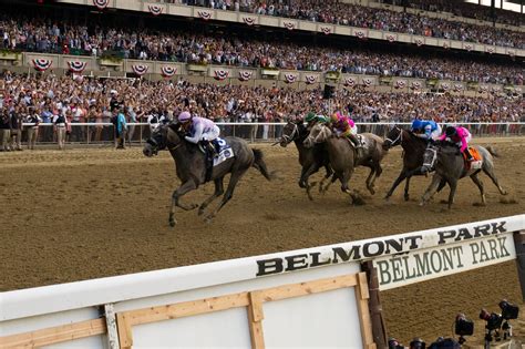 Belmont County Probate Court - prntbl.concejomunicipaldechinu.gov.co