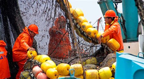 Produce Desembarque Pesquero Nacional Ascendi A Mil Toneladas