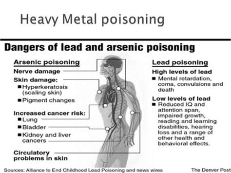 Natural Heavy Metal Detox Plan