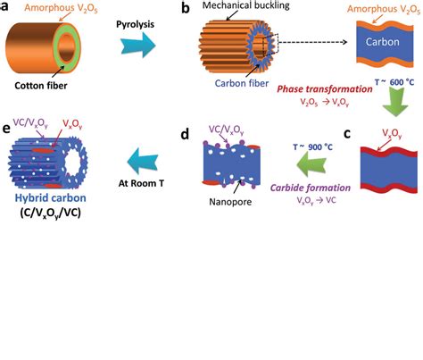 Proposed Mechanism For The Formation Of Wrinkles Nanopores And