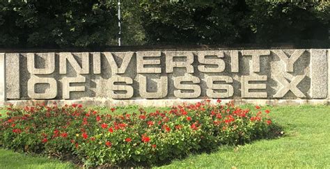 The University Of Sussex Ranked Among The Top 20 Universities In The Uk