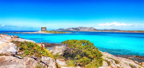 Spiaggia La Pelosa Foto Come Arrivare E Hotel Nei Dintorni