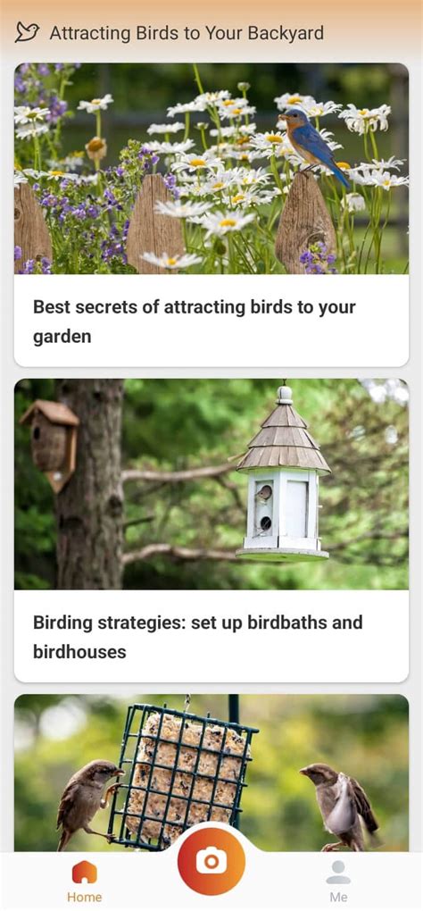 Picture Bird Bird Identifier Apps Have