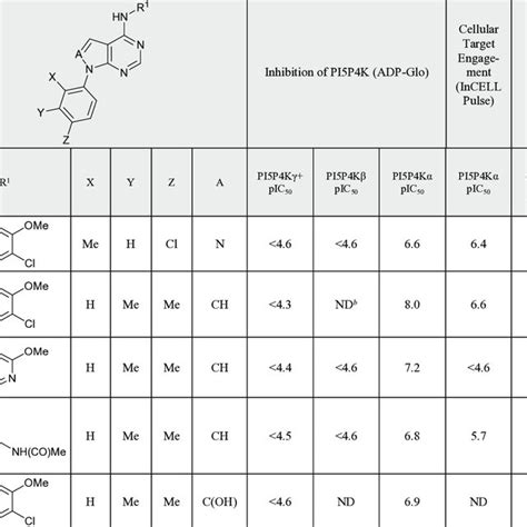 Target Engagement And In Vitro Adme Data For Selected Compounds Download Scientific Diagram