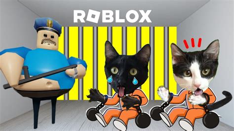 24 Horas En La Prision De Barry Roblox Y Escape Jugando Con Gatitos