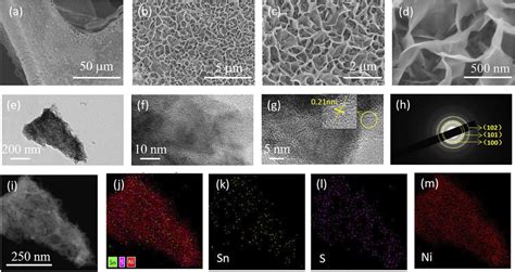 Ad Sem Images At Different Magnifications Of The Nisns2 Nanosheet