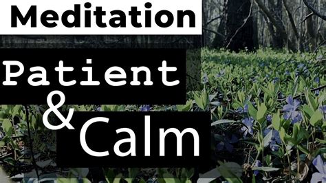 Meditation For Patience And Calm Youtube