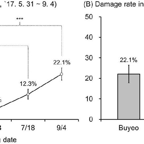 Rates of damage caused by Conogethes punctiferalis larvae to walnut ...