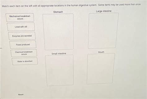 Solved Put the steps of nitrogenous waste removal in mammals | Chegg.com