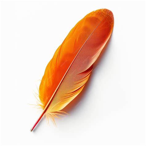 Premium Photo | Beautiful orange bird feather isolated on white